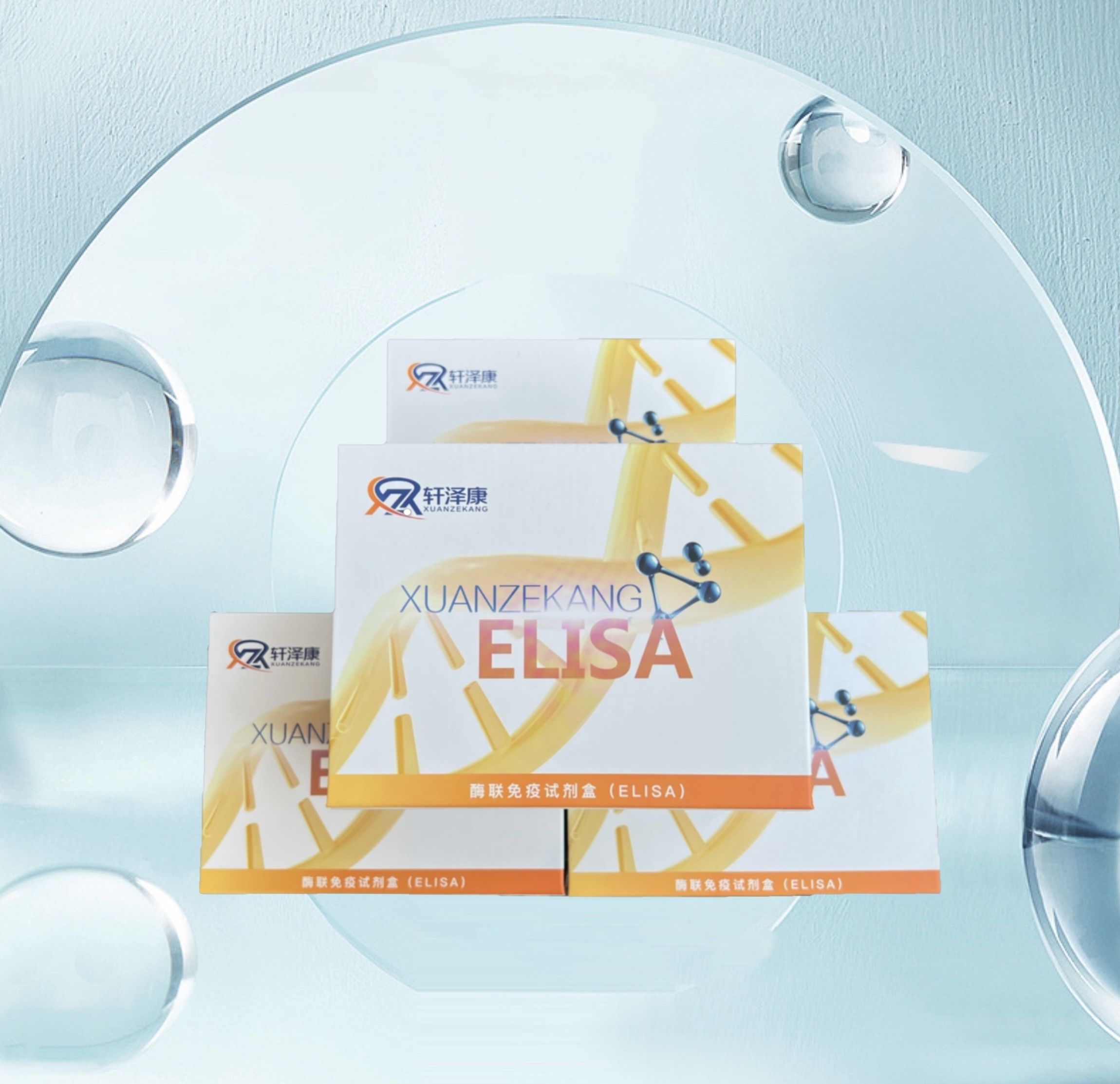 小鼠凝血因子XI（FXI）ELISA检测试剂盒