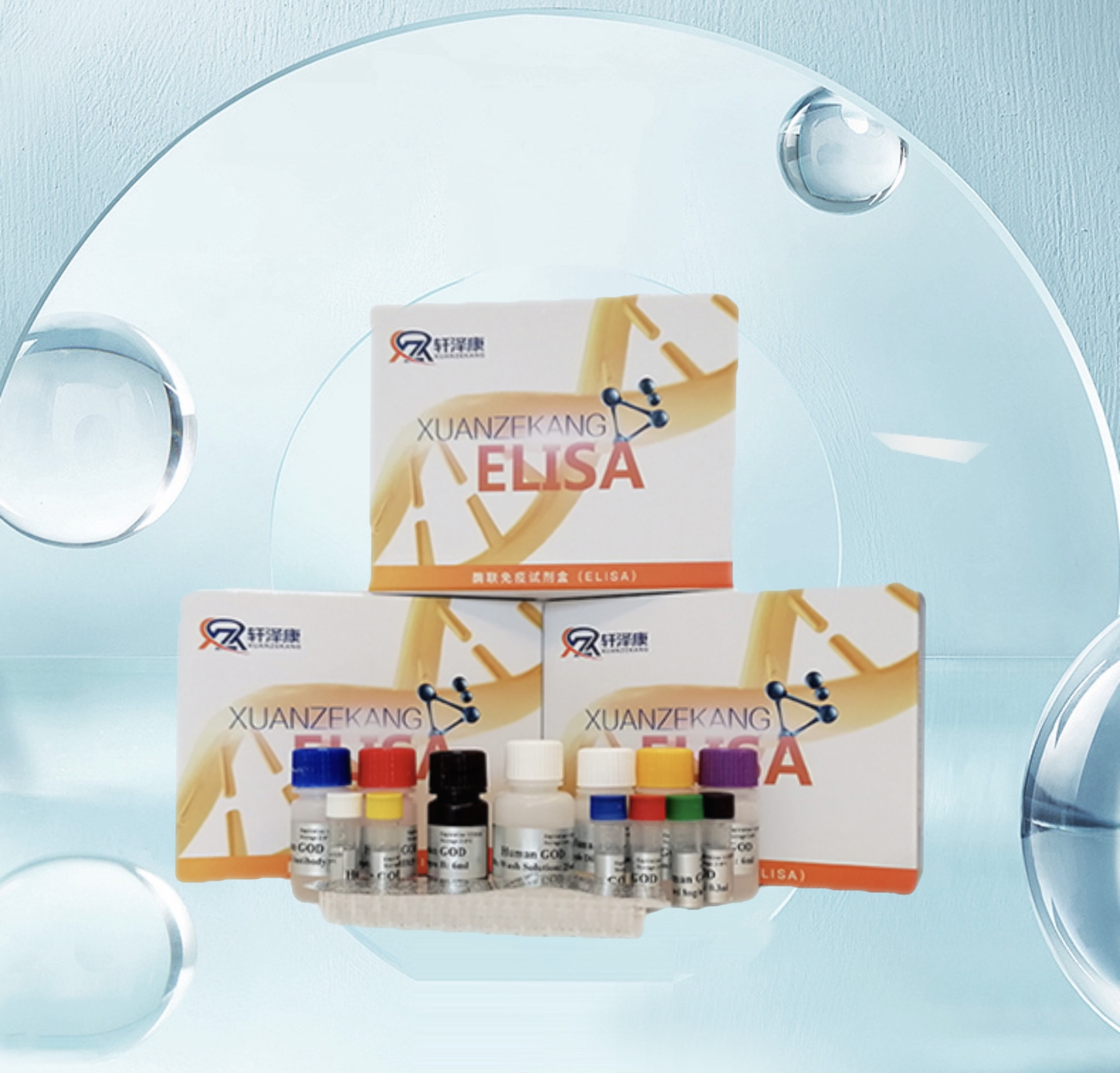 植物异柠檬酸脱氢酶（ICD） ELISA检测试剂盒