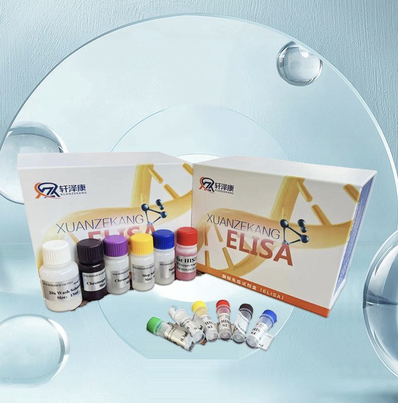 人N-甲基D-天冬氨酸型受体（NMDA-R）ELISA检测试剂盒