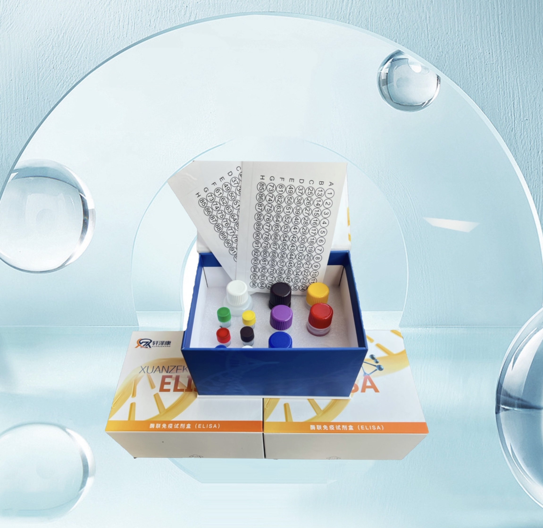 大鼠AKT蛋白（AKT）ELISA检测试剂盒